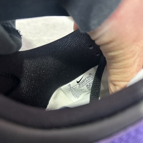 Nike SB Dunk Low Pro “Court Purple”